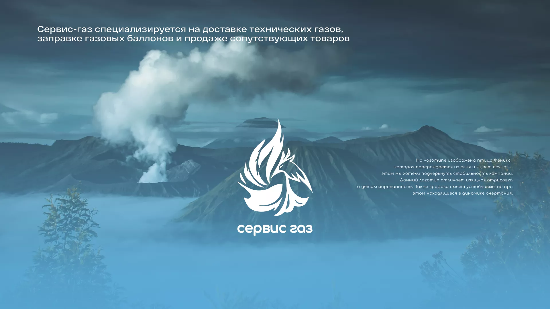 Создание сайта компании «Сервис газ» в Озерах