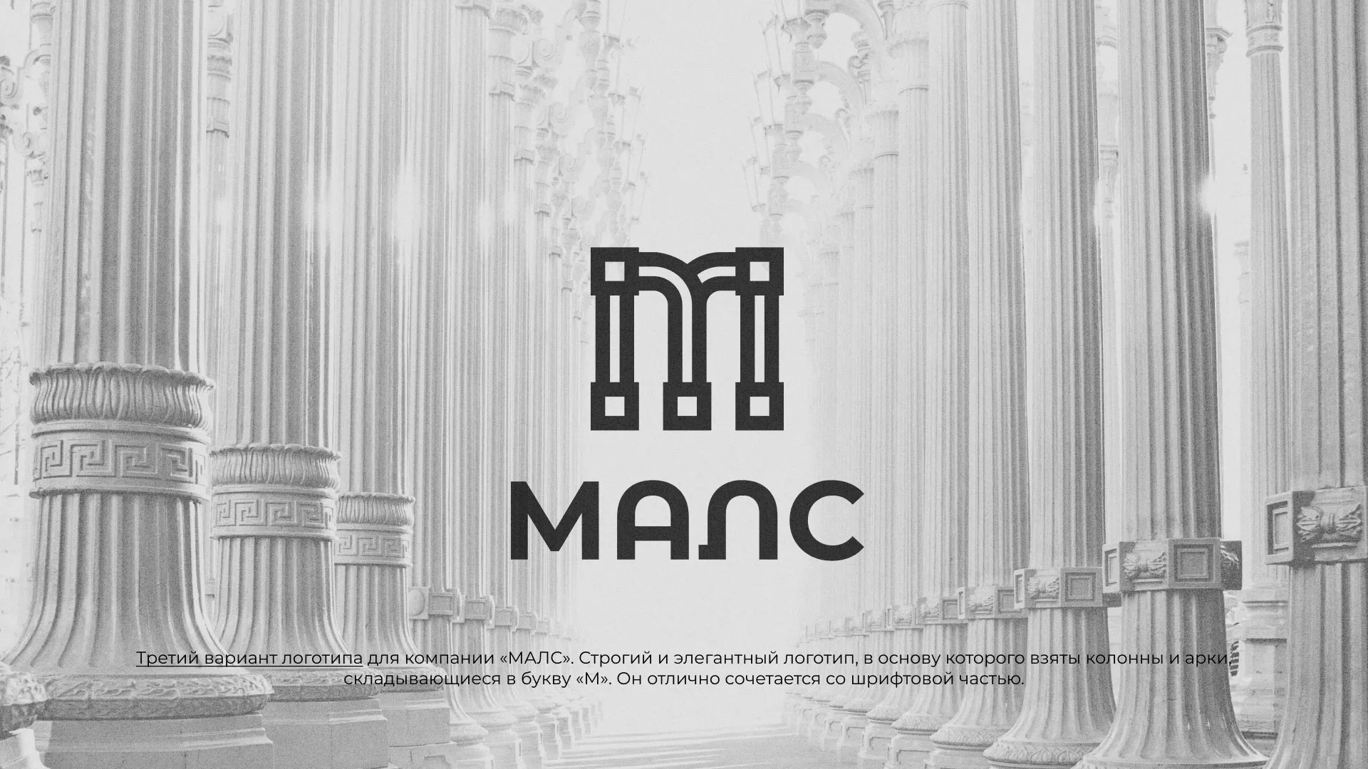 Разработка логотипа компании «МАЛС» в Озерах