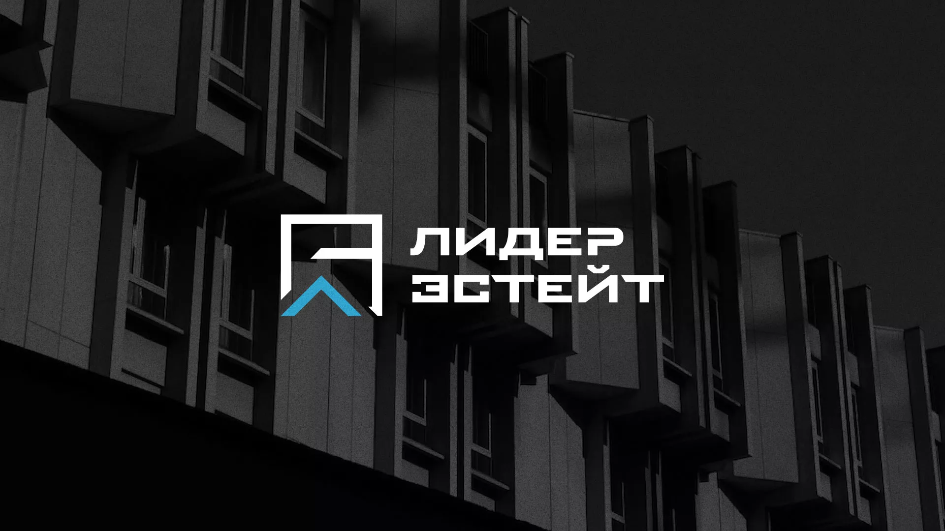 Разработка логотипа агентства недвижимости «Лидер Эстейт» в Озерах